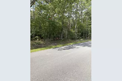 76 Honey Drive, Walterboro, SC 29488 - Photo 3