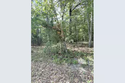 90 Honey Drive, Walterboro, SC 29488 - Photo 5