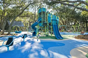 5 Oyster Rake Ct, Hilton Head Island, SC 29926 - Photo 63