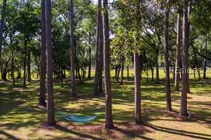 133 Avenue of Oaks, Daufuskie Island, SC 29915 - Photo 43