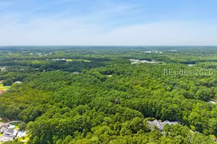 50 Pebble Beach Cove, Bluffton, SC 29910 - Photo 39