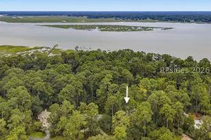 226 Callawassie Dr, Okatie, SC 29909 - Photo 55