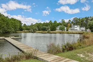 119 Great Heron Way, Bluffton, SC 29909 - Photo 61