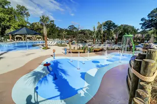26 Angel Wing Dr, Hilton Head Island, SC 29926 - Photo 61