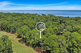 26 Angel Wing Dr, Hilton Head Island, SC 29926 - Photo 45