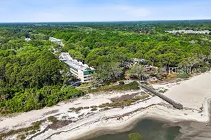 239 Beach City Rd, Hilton Head Island, SC 29926 - Photo 3