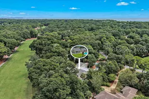 46 Barony Ln, Hilton Head Island, SC 29928 - Photo 43