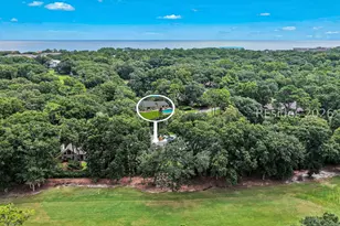 46 Barony Ln, Hilton Head Island, SC 29928 - Photo 41