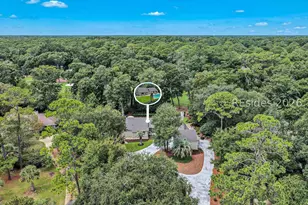 46 Barony Ln, Hilton Head Island, SC 29928 - Photo 39