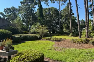 28 Oyster Bay Pl, Hilton Head Island, SC 29926 - Photo 75