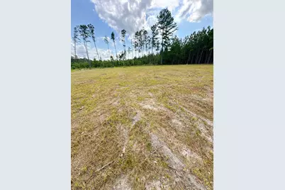 2683 Langfordville Road, Ridgeland, SC 29936 - Photo 5