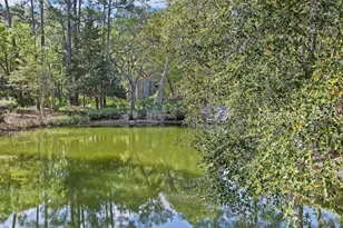 6 Shipwatch Point, Hilton Head Island, SC 29928 - Photo 59