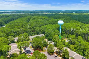 53 Delander Ct, Hilton Head Island, SC 29928 - Photo 29