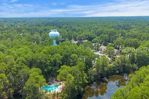 53 Delander Ct, Hilton Head Island, SC 29928 - Photo 31