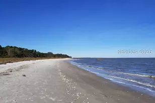 15 Persimmon Pl, Hilton Head Island, SC 29926 - Photo 73