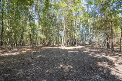501 Paige Point Road, Seabrook, SC 29940 - Photo 15