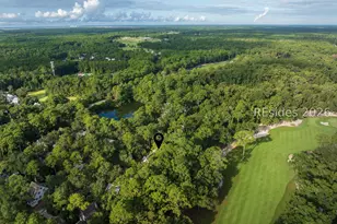 58 Blue Willow St, Bluffton, SC 29910 - Photo 57