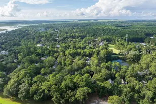 58 Blue Willow St, Bluffton, SC 29910 - Photo 59