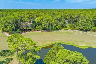 7 McGuire Ct, Hilton Head Island, SC 29926 - Photo 59