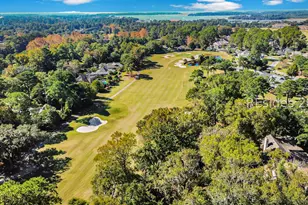 32 Savannah Trail, Hilton Head Island, SC 29926 - Photo 9