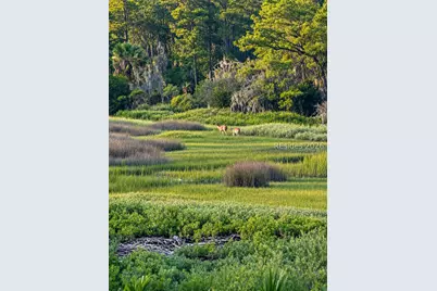 258 Seabrook Drive, Hilton Head Island, SC 29926 - Photo 57