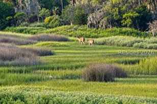 258 Seabrook Dr, Hilton Head Island, SC 29926 - Photo 57