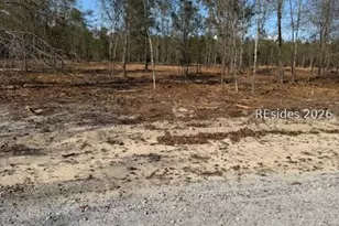 401-1A Stock Farm Rd, Ridgeland, SC 29936 - Photo 1