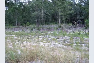 401-2A Stock Farm Road, Ridgeland, SC 29936 - Photo 9