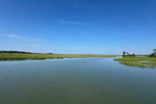 35 Silver Oak Dr, Hilton Head Island, SC 29926 - Photo 59