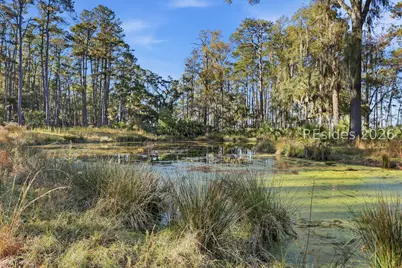 0 Rose Island, Port Royal, SC 29935 - Photo 51