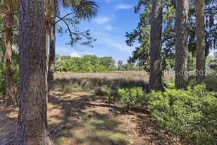 12 Devils Elbow Ln, Hilton Head Island, SC 29926 - Photo 41