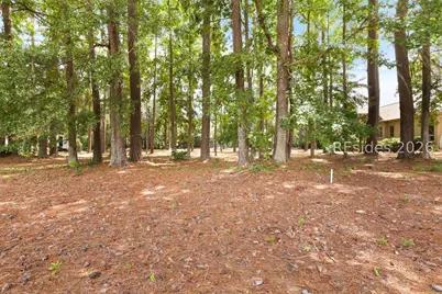 47 Manchester Court, Bluffton, SC 29910 - Photo 7