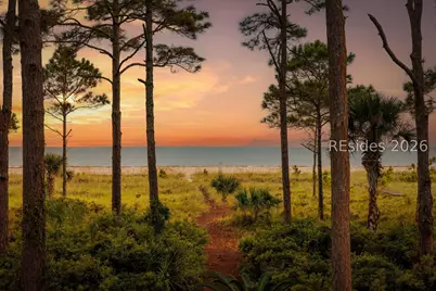 19 Cedar Wax Wing Road, Hilton Head Island, SC 29928 - Photo 85