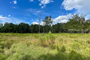 200 Edgewood Dr, Saint Matthews, SC 29135 - Photo 1