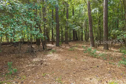 22 Smilax Vine Road, Bluffton, SC 29910 - Photo 15