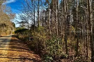 278 Sylvester Rd, Varnville, SC 29944 - Photo 1