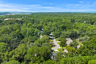 64 E Morgan Ct, Hilton Head Island, SC 29926 - Photo 55