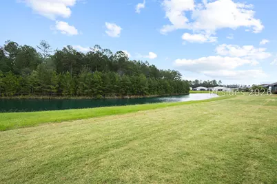 838 Parrot Avenue, Hardeeville, SC 29927 - Photo 55