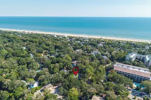 1 Bittern St, Hilton Head Island, SC 29928 - Photo 43