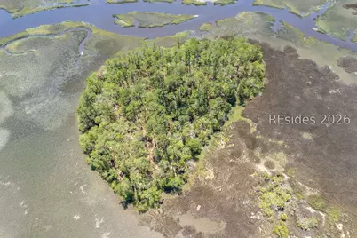 Tbd Wimbee Creek Island, Seabrook, SC 29940 - Photo 15