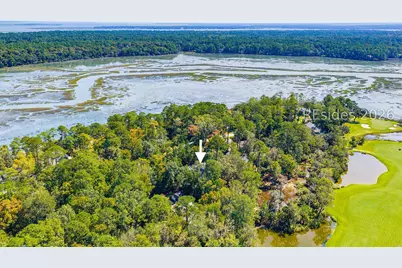8 Heron Point, Okatie, SC 29909 - Photo 71