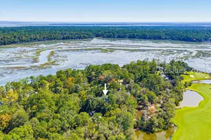 8 Heron Point, Okatie, SC 29909 - Photo 71