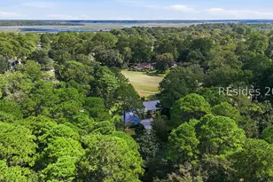 42 Black Gum Ln, Hilton Head Island, SC 29926 - Photo 59