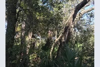 371 Pike Drive, Ladys Island, SC 29920 - Photo 3