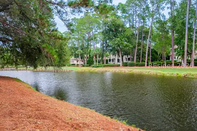 5 Tomotley Court, Hilton Head Island, SC 29928 - Photo 65