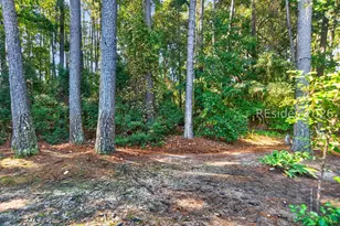 16 Bellereve Dr, Bluffton, SC 29909 - Photo 55