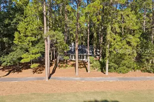 11 Virginia Rail Ln, Hilton Head Island, SC 29926 - Photo 49
