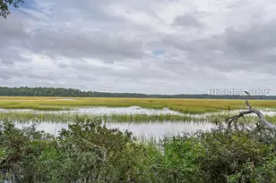18 Chechessee Cir, Okatie, SC 29909 - Photo 51