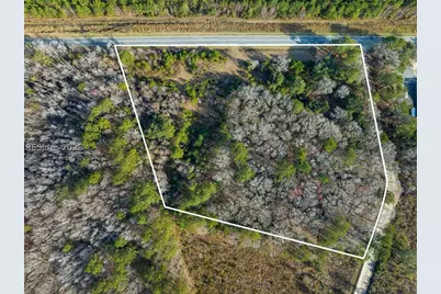 Tbd Lowcountry Drive, Ridgeland, SC 29936 - Photo 1