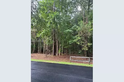 51 Graham Hall, Ridgeland, SC 29936 - Photo 1